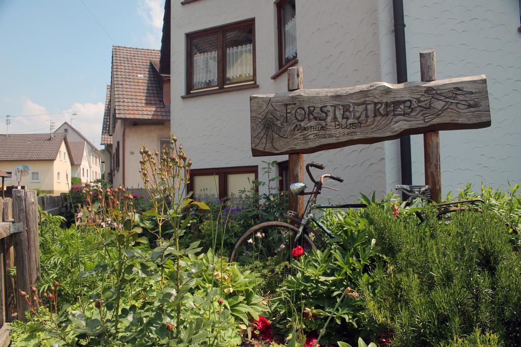 Haus Am Bergli Apartment Херболцхайм Стая снимка